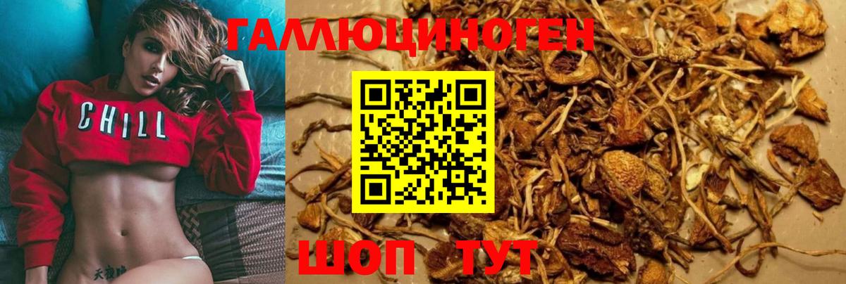 Галлюциногенные грибы Cubensis Барабинск
