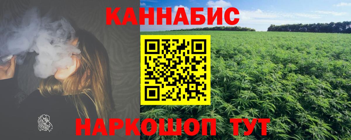 Конопля сатива Барабинск